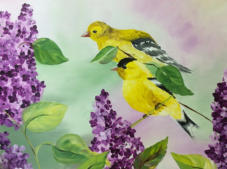 Song Birds
