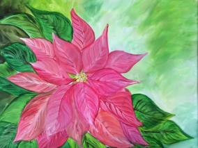 Pointsettia