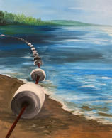 Swim Zones
