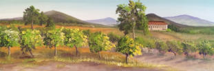 Tuscan Vineyard  Oil  18x36 (SOLD)