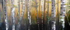 Forest One Oil  30"x 60"  Commissioned Piece  SOLD