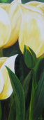 Yellow Tulips #2 Acrylic  12"x24" Sold